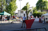 _MG_9105.jpg